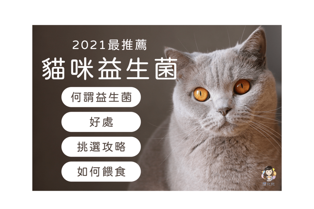 2021最佳推薦貓益生菌-首圖