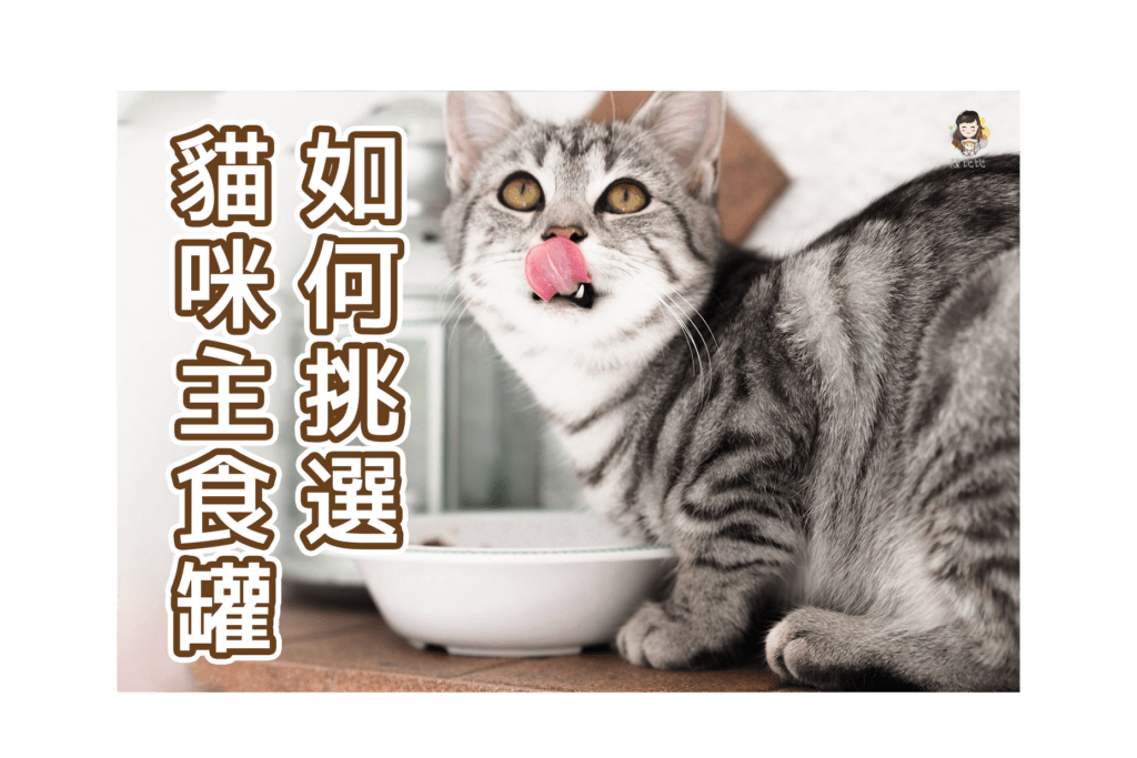 如何挑選貓咪主食罐-首圖
