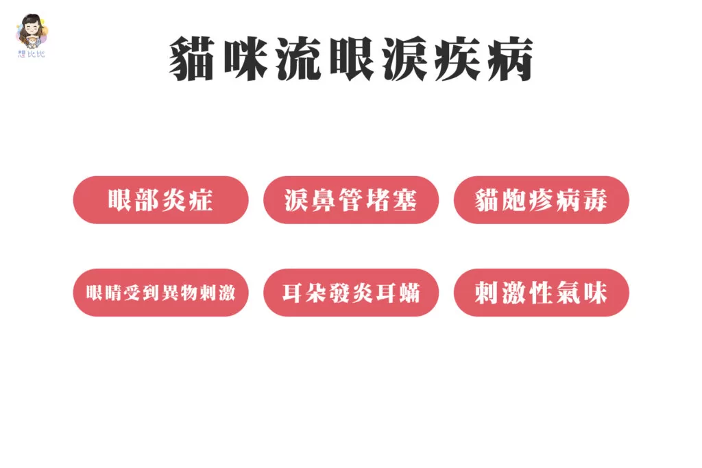 貓咪流眼淚疾病