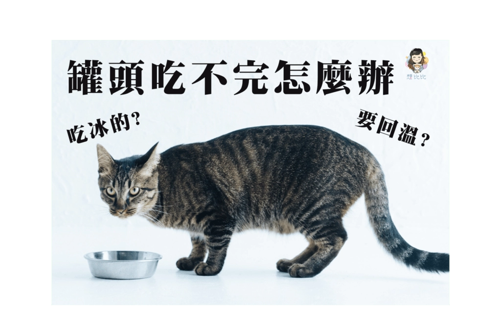 罐頭吃不完怎麼辦