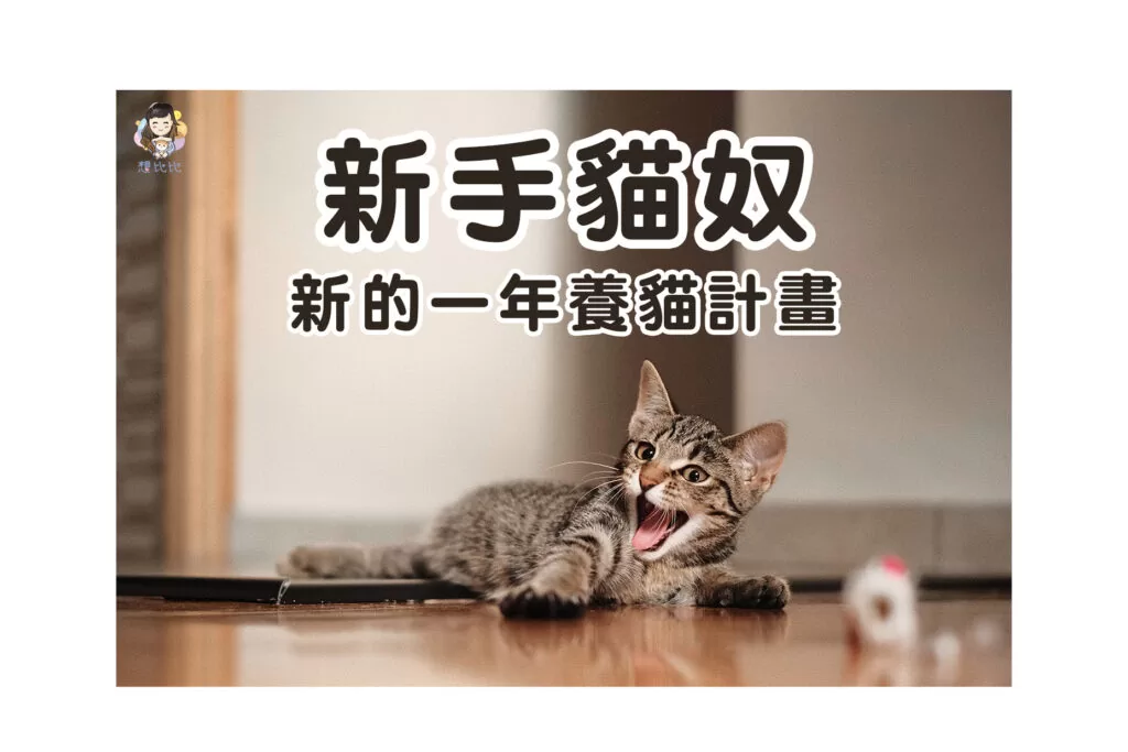新的一年養貓計畫 新手貓奴