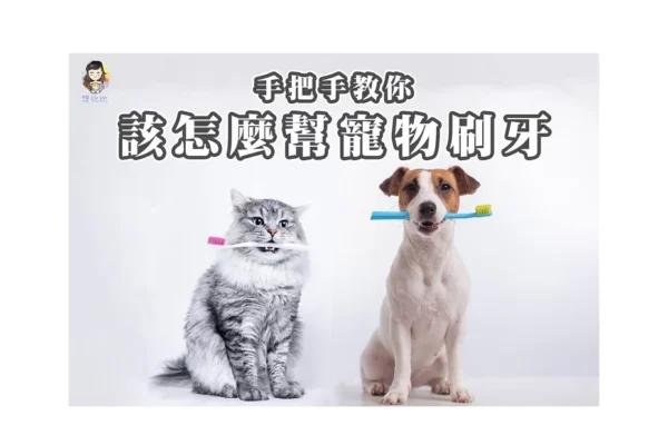 手把手教你該怎麼幫寵物刷牙